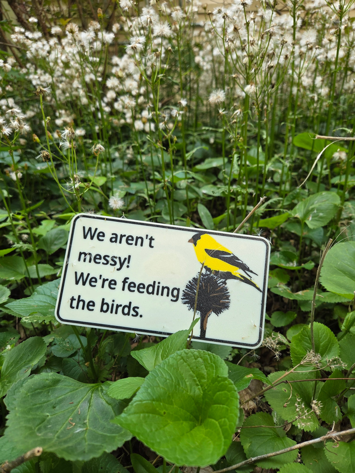 We're feeding the birds!
