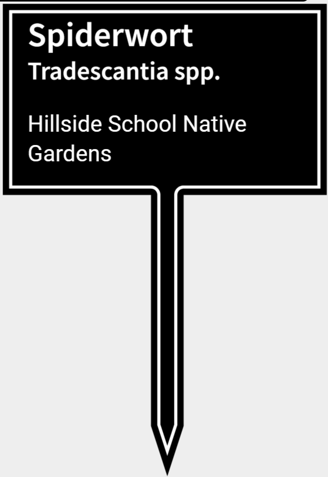 Small and Medium Sign with Plant Names