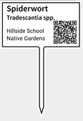 Small Sign with QR code and Plant Names