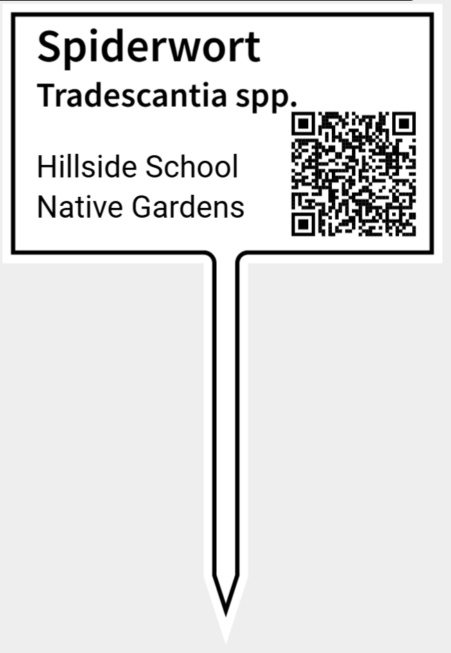 Small Sign with QR code and Plant Names