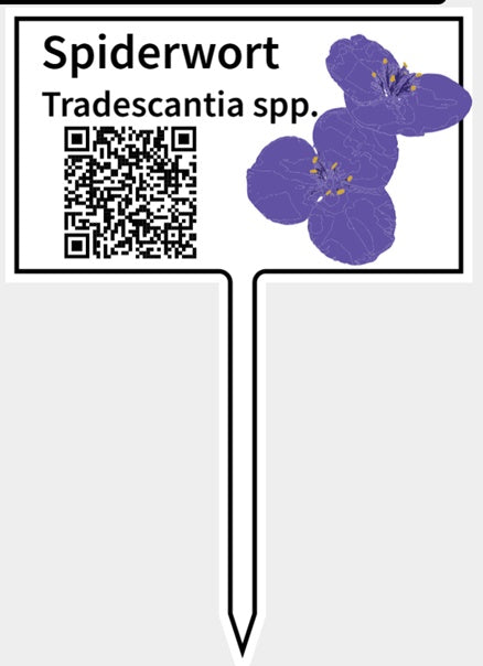 Small Sign with QR code and Plant Graphic