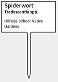 Small and Medium Sign with Plant Names