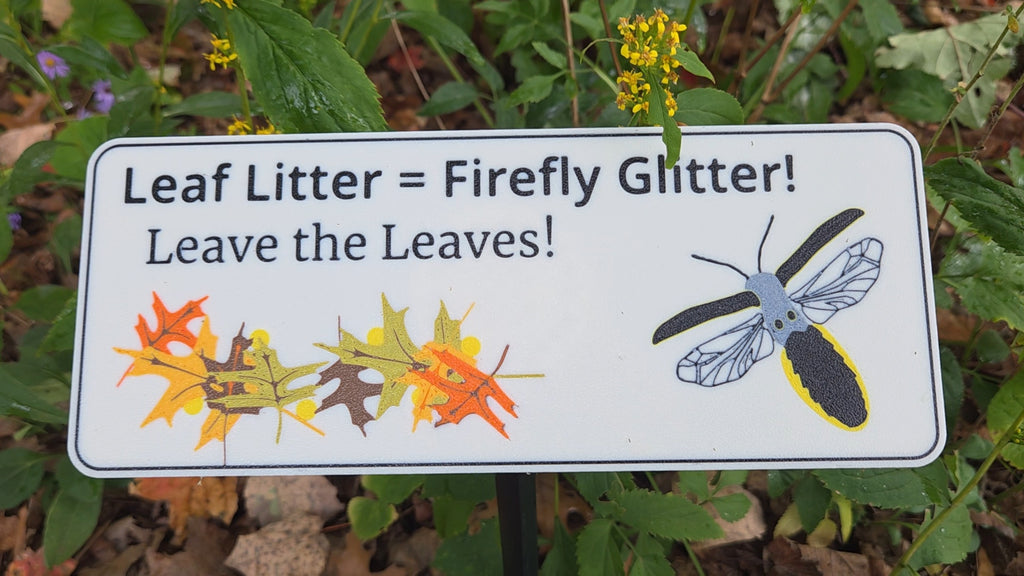 Leaf Litter = Firefly Glitter