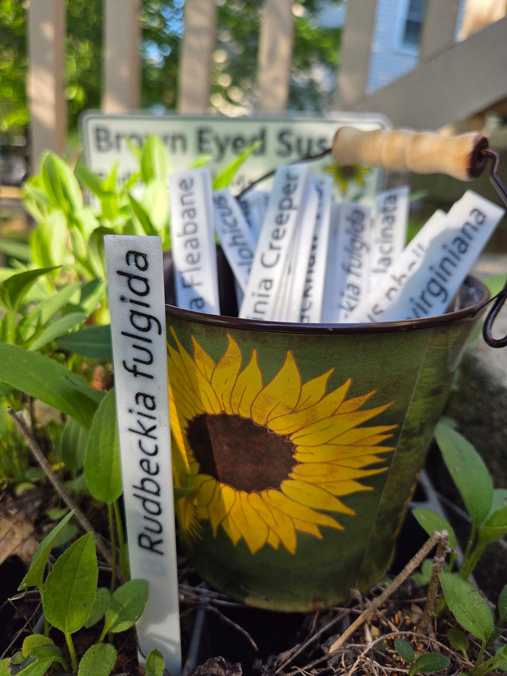 Plant Tags