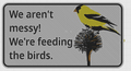 We're feeding the birds!